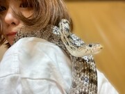 愛美の肩に乗るアニー。