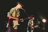 立ち耳スコティッシュフォールド（撮影：白石達也）