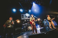 立ち耳スコティッシュフォールド（撮影：白石達也）