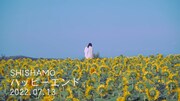 SHISHAMO「ハッピーエンド」ティザー映像より。