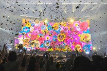 「Mrs. GREEN APPLE ARENA SHOW “Utopia” supported by PIA 50th Anniversary」の様子。（撮影：上飯坂一）