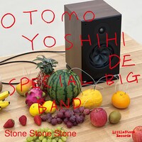 大友良英スペシャルビッグバンド「Stone Stone Stone」ジャケット