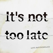 LOVE PSYCHEDELICO「It's not too late」配信ジャケット