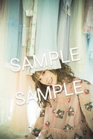 くまざわ書店で配布されるポストカードのサンプル。(c)藤本和典 / 白夜書房