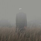 Cornelius最新作「変わる消える」が本日より再配信！歌唱はmei ehara、作詞は坂本慎太郎