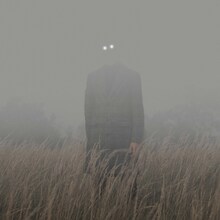 Cornelius「変わる消える（feat. mei ehara）」配信ジャケット