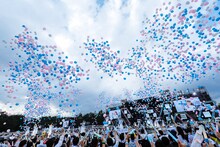 日向坂46「W-KEYAKI FES. 2022」の様子。（撮影：上山陽介）