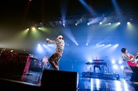 ビッケブランカ（撮影：曽我美芽）