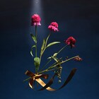 めいちゃん、世界の繊細さと切なさ表現した新曲配信