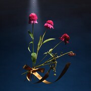 めいちゃん、世界の繊細さと切なさ表現した新曲配信