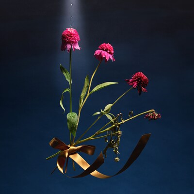 めいちゃん「Bouquet」配信ジャケット