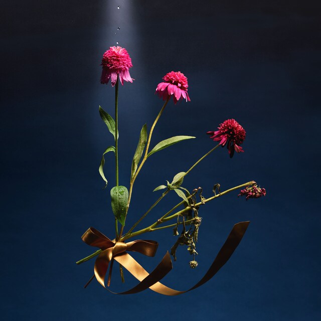 めいちゃん「Bouquet」配信ジャケット