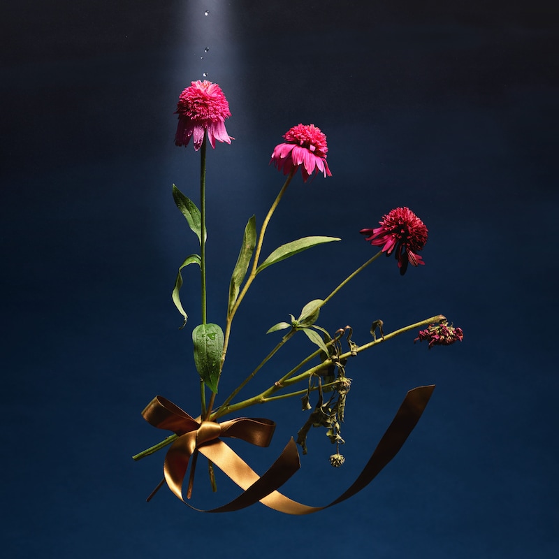 めいちゃん「Bouquet」配信ジャケット