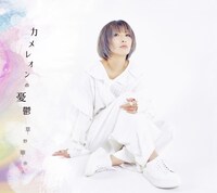 草野華余子「カメレオンの憂鬱」ジャケット