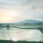 くるり、佐賀県江北町の町制施行70周年を記念した楽曲「宝探し」を配信リリース