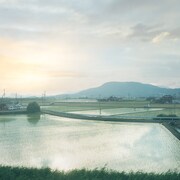 くるり「宝探し」配信ジャケット