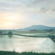 くるり「宝探し」配信ジャケット