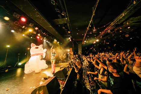 「水曜日のカンパネラ ワンマンライブ2022 ～Neo poem～」東京・恵比寿 LIQUIDROOMの様子。（撮影：横山マサト）