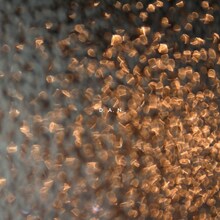 D. A. N.「No Moon（Cornelius Remix）」配信ジャケット