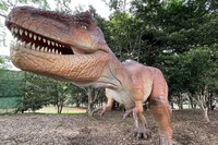 恐竜のオブジェ。