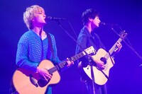 さくらしめじ（撮影：笹森健一）