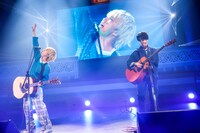 さくらしめじ（撮影：笹森健一）