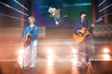 さくらしめじ（撮影：笹森健一）