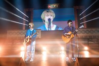 さくらしめじ（撮影：笹森健一）