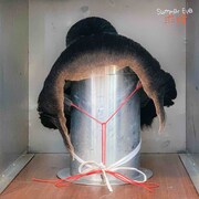 Summer Eye「求婚」配信ジャケット