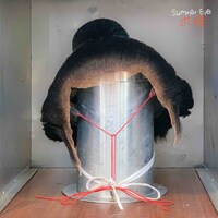 Summer Eye「求婚」配信ジャケット