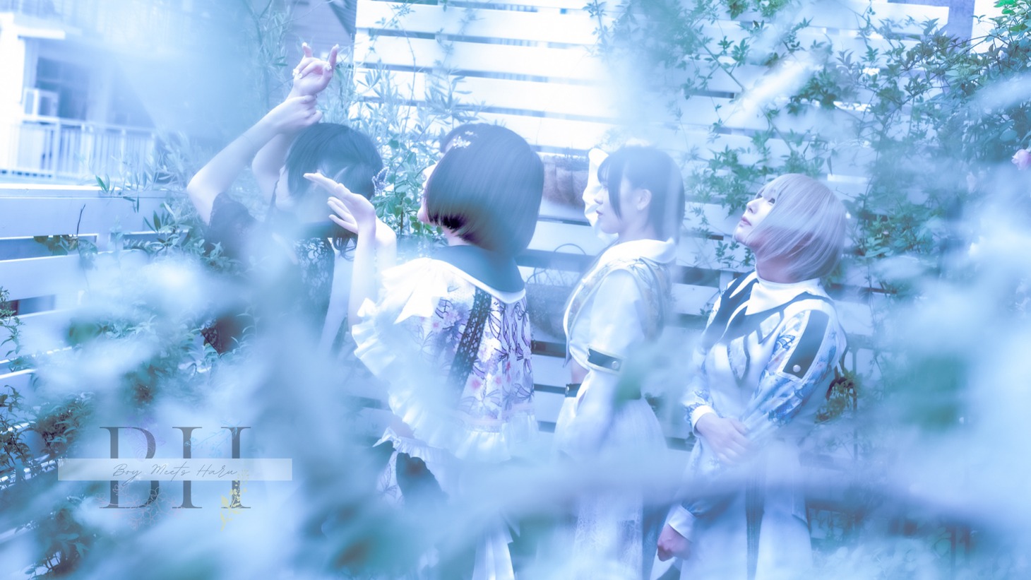 BOY MEETS HARU
