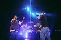 左から楓、ビシキマ。