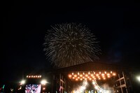 夜空に広がる打ち上げ花火。