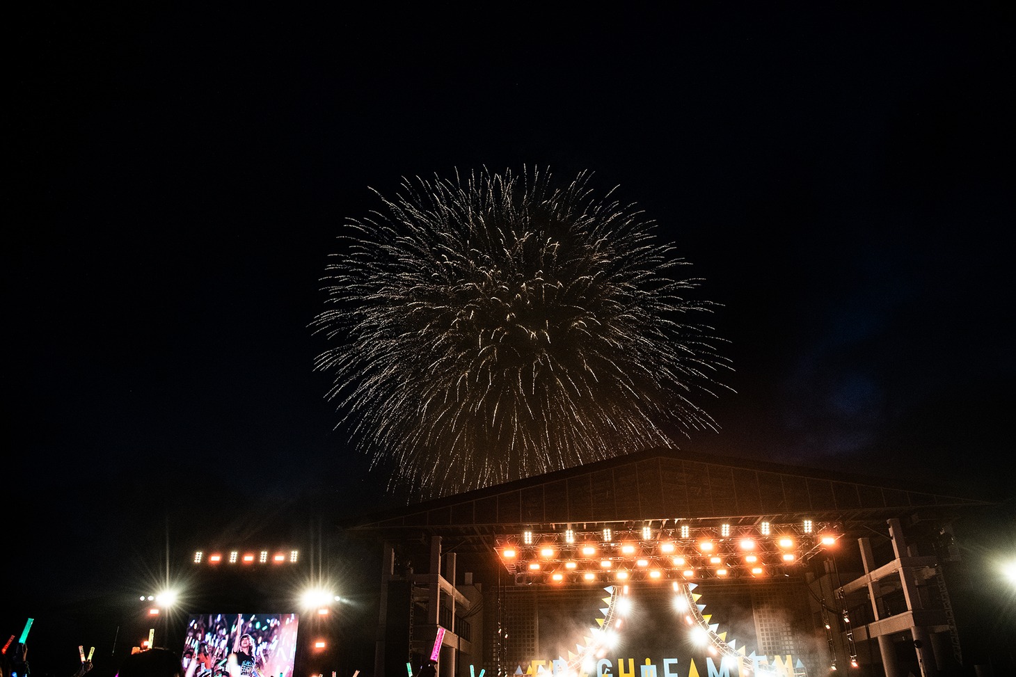 夜空に広がる打ち上げ花火。