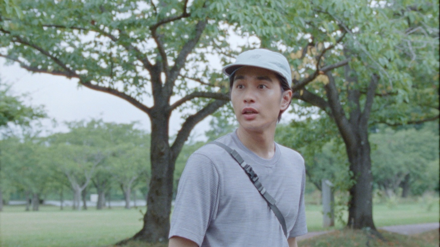 森山直太朗「茜」ミュージックビデオより。