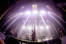 PENGUIN RESEARCH（Photo by Viola Kam［V'z Twinkle］）