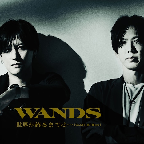 WANDS「世界が終るまでは…［WANDS第5期ver.］」配信ジャケット