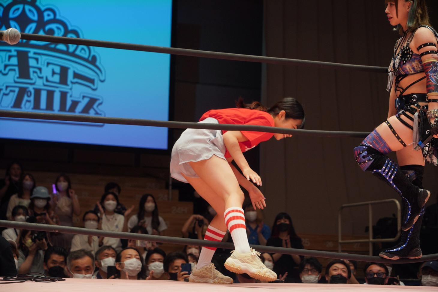シノ