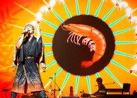 めいちゃん（撮影：Sotaro Goto、Kohei Suzuki、岡田裕介、KEIKO TANABE）