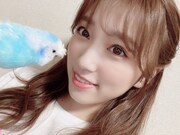 ぴっコロと矢吹奈子。