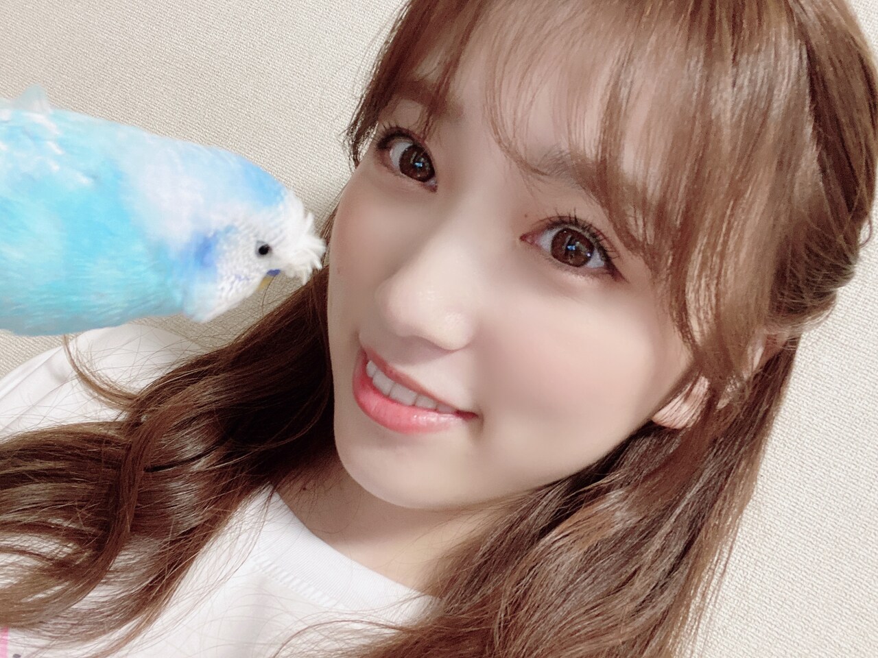 ぴっコロと矢吹奈子。