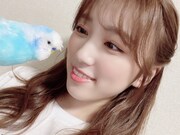 ぴっコロと矢吹奈子。