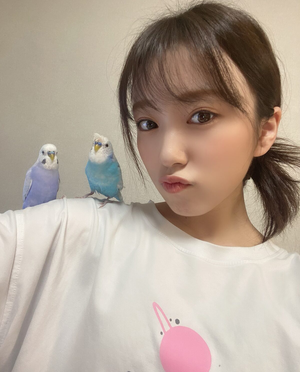 矢吹奈子 Hkt48 セキセイインコのぴっコロ ちびコロ ペット愛 Vol 33 音楽ナタリー