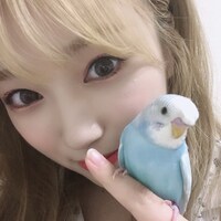 矢吹奈子の指に乗るぴっコロ。