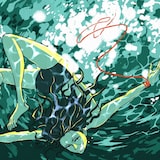 MASS OF THE FERMENTING DREGS「Awakening:Sleeping」ジャケット