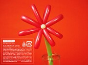 260分超え！マカロニえんぴつ初のライブ映像集リリース、FC限定で武道館公演の上映会