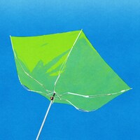 ベルマインツ「風を頼りに」配信ジャケット