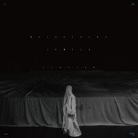 Ramza「Whispering Jewels - ひび割れの鼓動」ジャケット