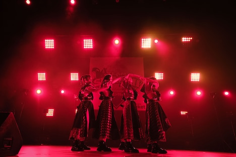 TEAM SHACHIによるライブの様子。（撮影：下山春香）