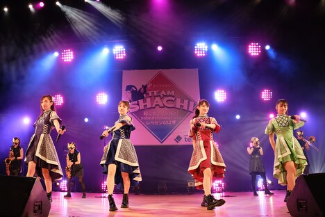 TEAM SHACHIによるライブの様子。（撮影：下山春香）